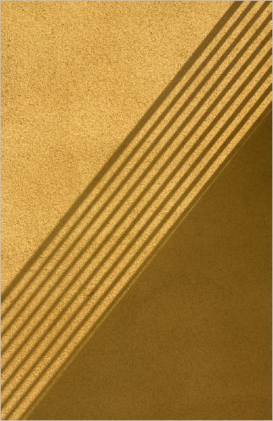 Shadow Lines DeWane Stone